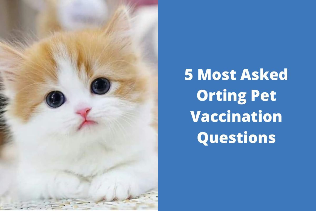 20220830-0750455-Most-Asked-Orting-Pet-Vaccination-Questions