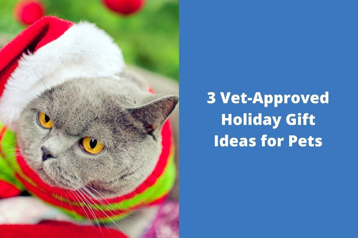 3-Vet-Approved-Holiday-Gift-Ideas-for-Pets